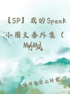 【SP】我的Spank小圈文番外集（M/M）